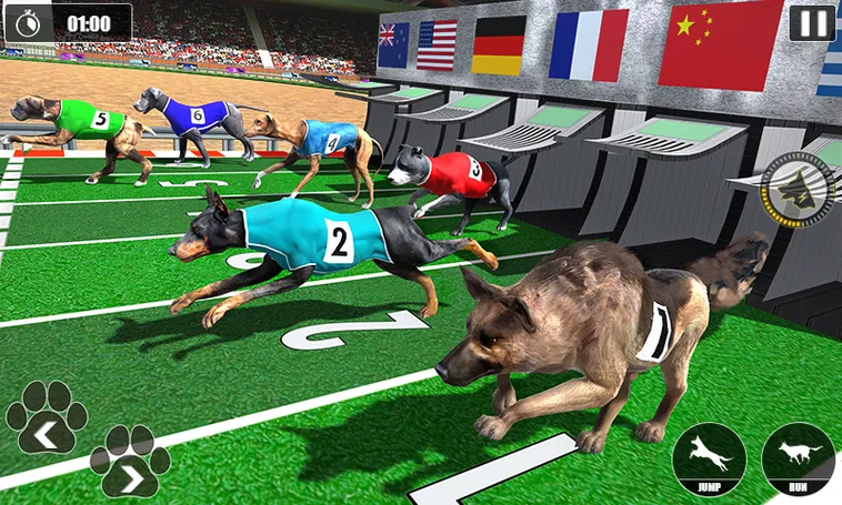 Cách Chơi Game Nhanh Đua Chó Sunwin Chi Tiết Mẹo Chọn Kèo Hiệu Quả