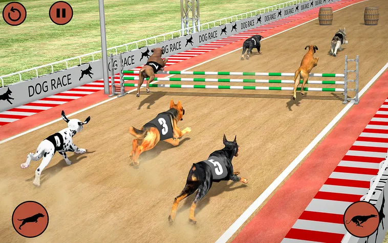 Cách Chơi Game Nhanh Đua Chó Sunwin Chi Tiết Mẹo Chọn Kèo Hiệu Quả