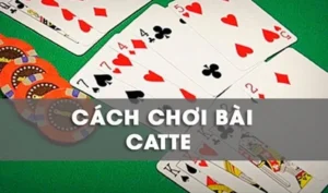 Cách Chơi Sắc Tê Cổng Game Sunwin Chi Tiết Cho Người Mới Dễ Hiểu