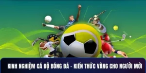 Tìm Hiểu Cá Cược Bóng Đá Sunwin Với Tỷ Lệ Hấp Dẫn Và Trải Nghiệm Chuẩn Chuyên Nghiệp